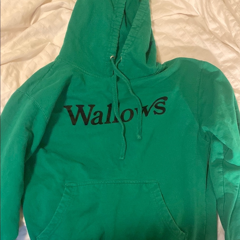 Wallows Green Hoodie
